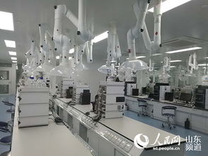 山東羅欣制藥 以創新為翼，打破國外壟斷，引領醫藥研發與國際水平同步前行